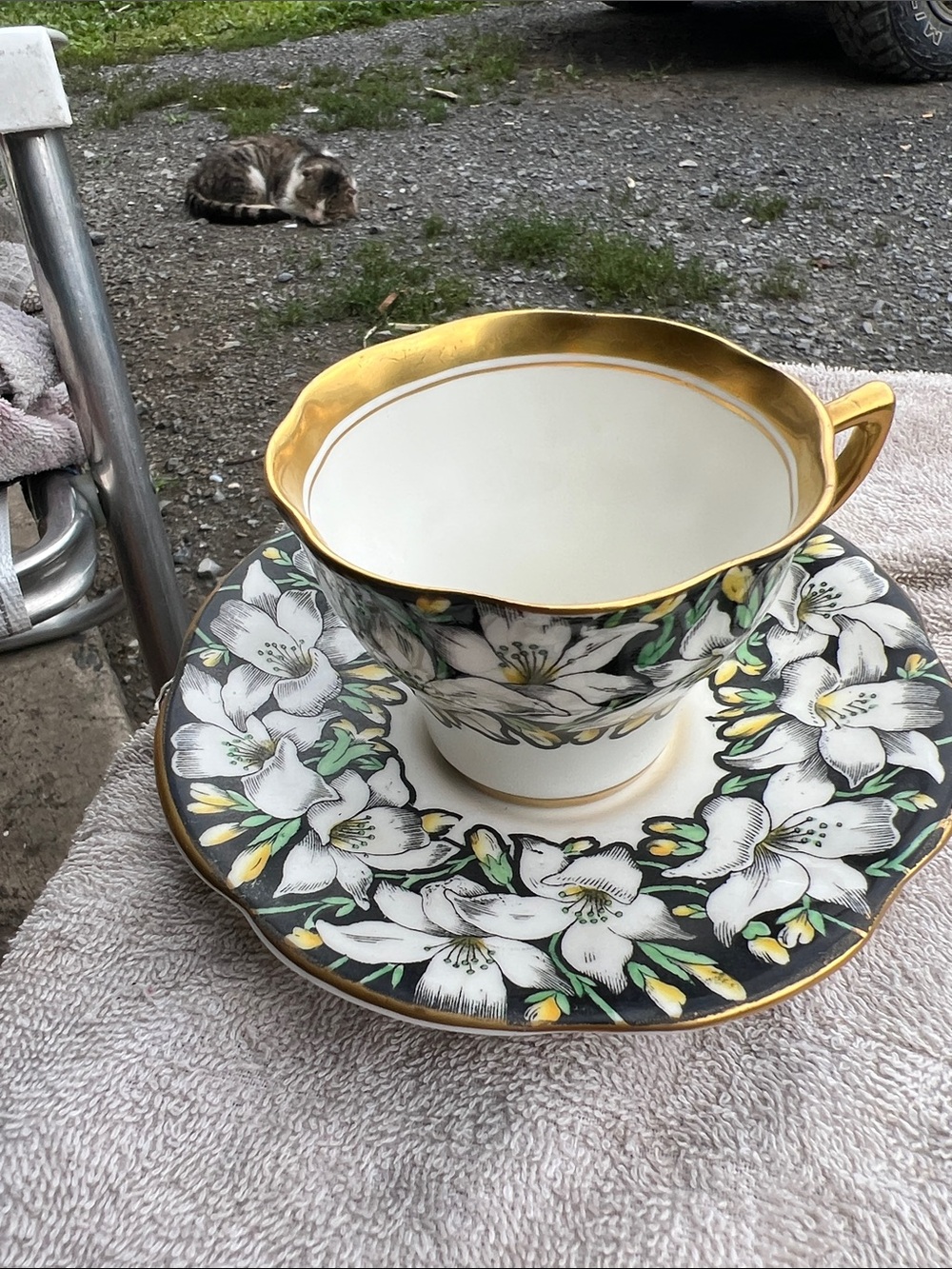 Vintage Floral Gold-Trim Tea Cup & Saucer Set - White, Black, Green, Yellow